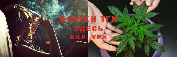 прущие грибы Верхнеуральск