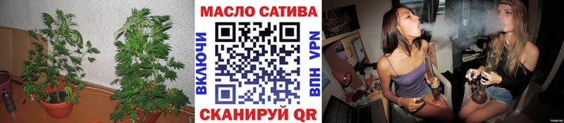 MEGA маркетплейс  Каргат  мориарти состав  как найти закладки  ТГК гашишное масло 