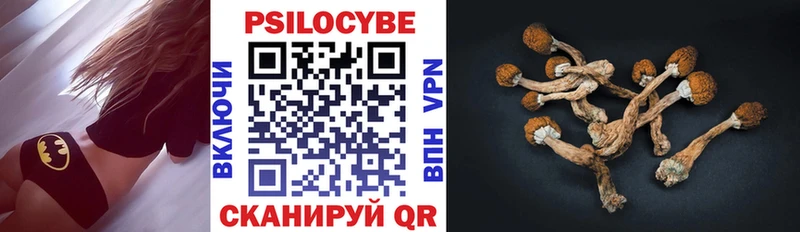 купить наркотик  Каргат  kraken вход  Галлюциногенные грибы MAGIC MUSHROOMS 